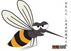 冬天有蚊子正常吗,为什么冬天屋子里会有那么多的蚊子呢？